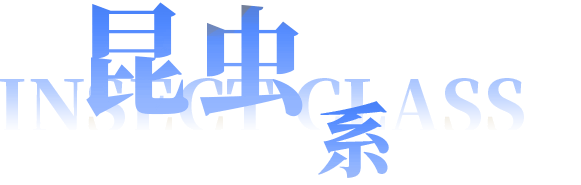 昆虫系